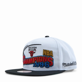 Bulls 1996 Champions Wave 2T
