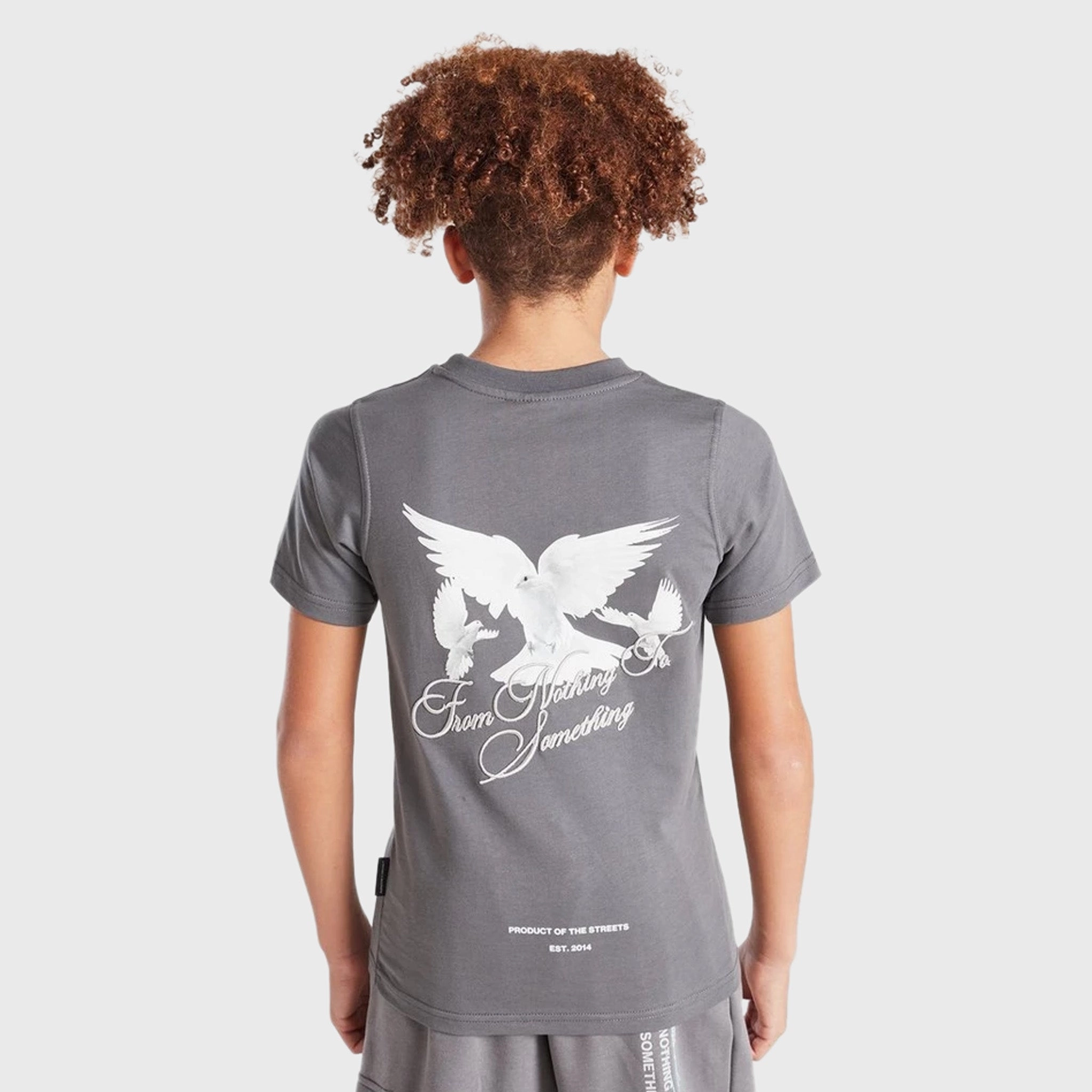 Hoodrich Junior Boys' Flight Graphic T-Shirt Lava Smoke / White - Quiet Grey