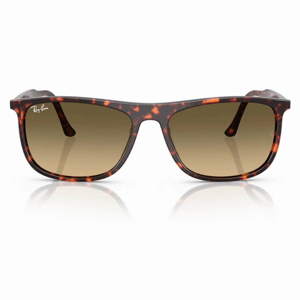 Ray-Ban RB2216 Sunglasses