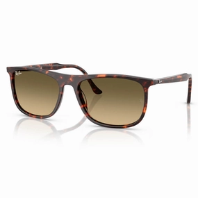 Ray-Ban RB2216 Sunglasses