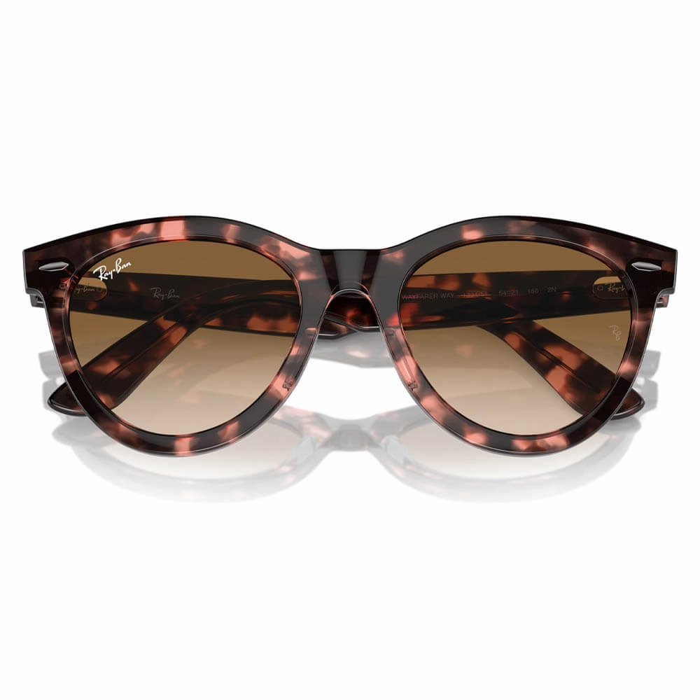 Ray-Ban Wayfarer Way Sunglasses