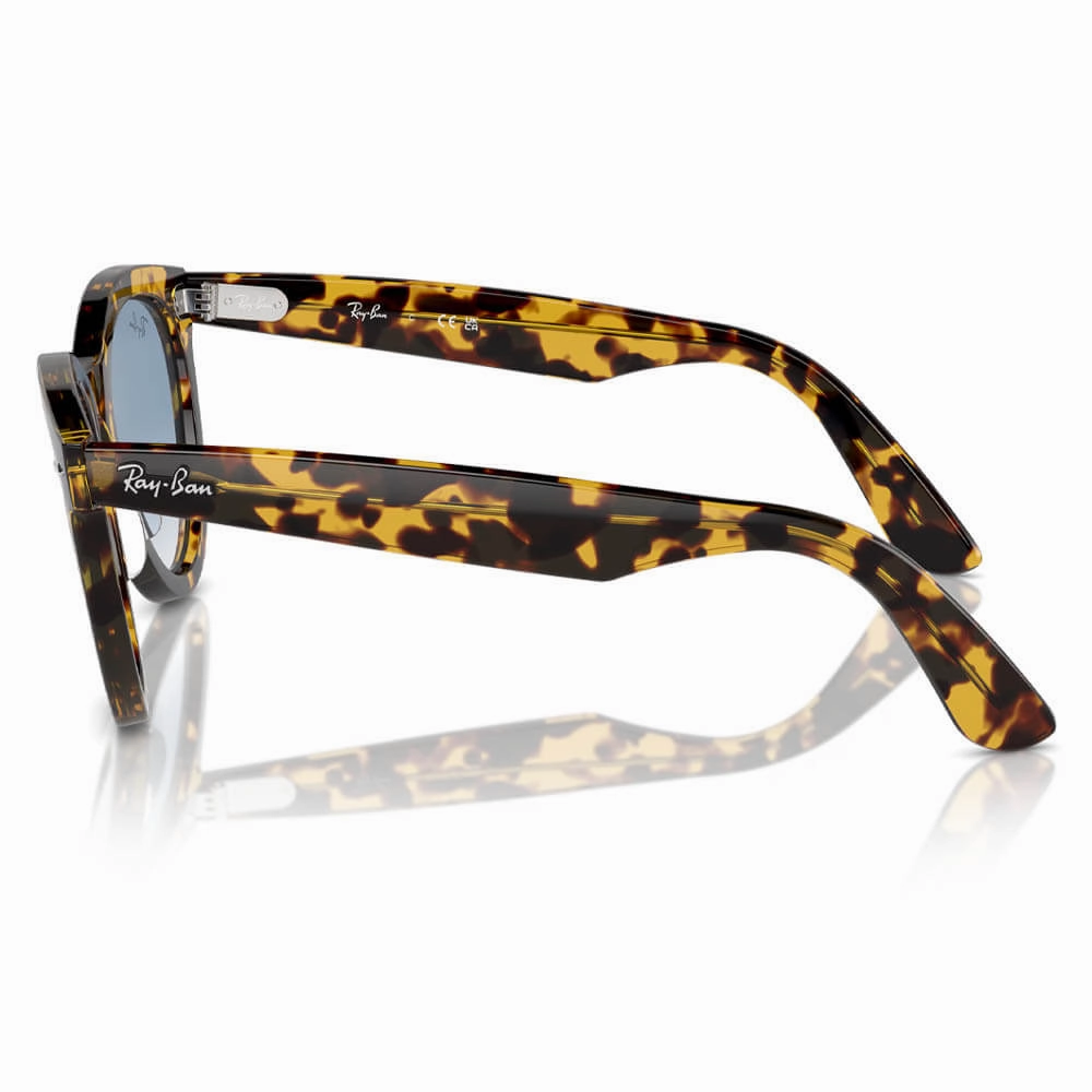 Ray-Ban Wayfarer Way Sunglasses