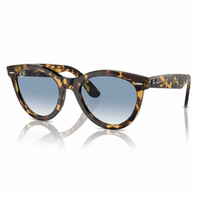 Ray-Ban Wayfarer Way Sunglasses