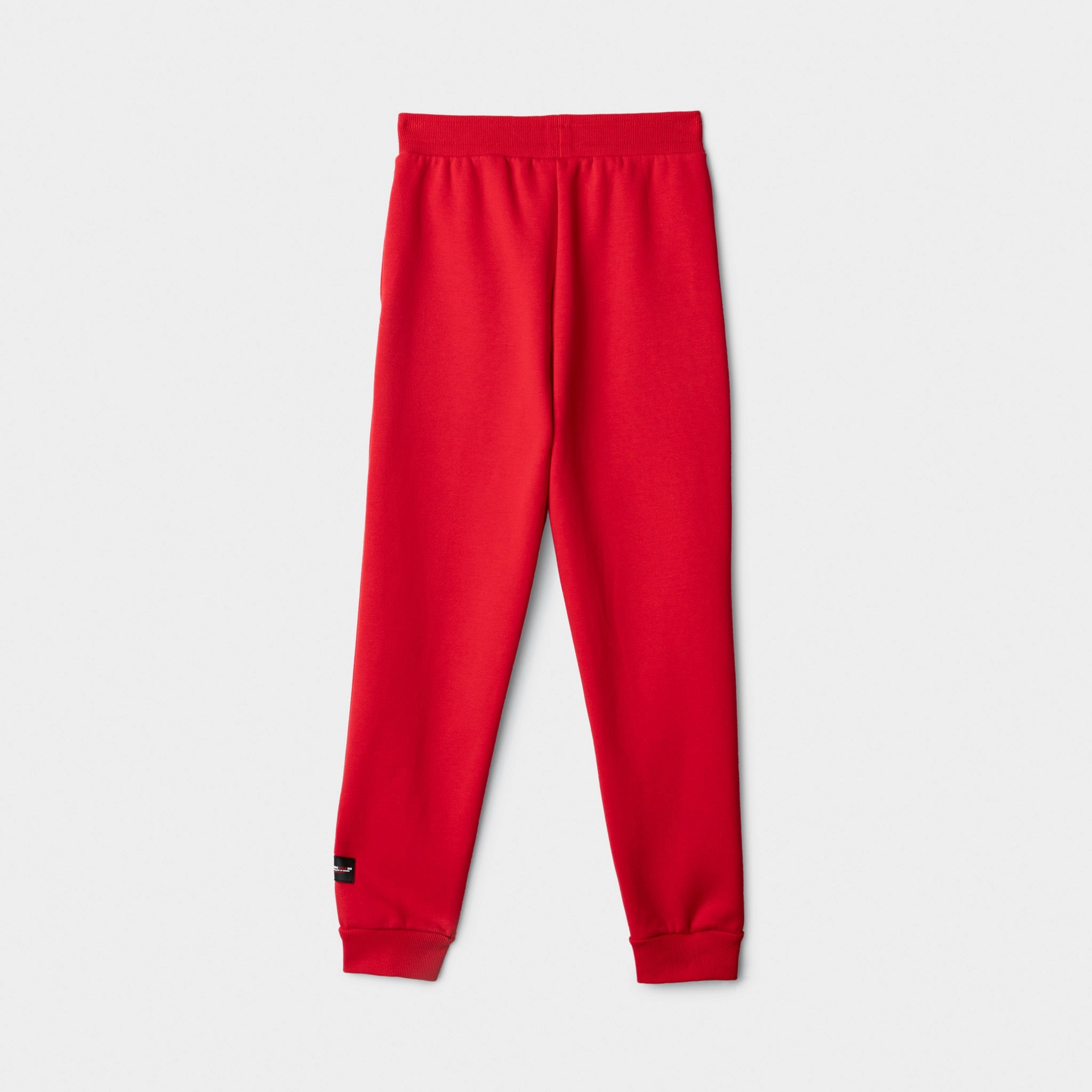 Supply & Demand Junior Boys' Targon Joggers / Chinese Red