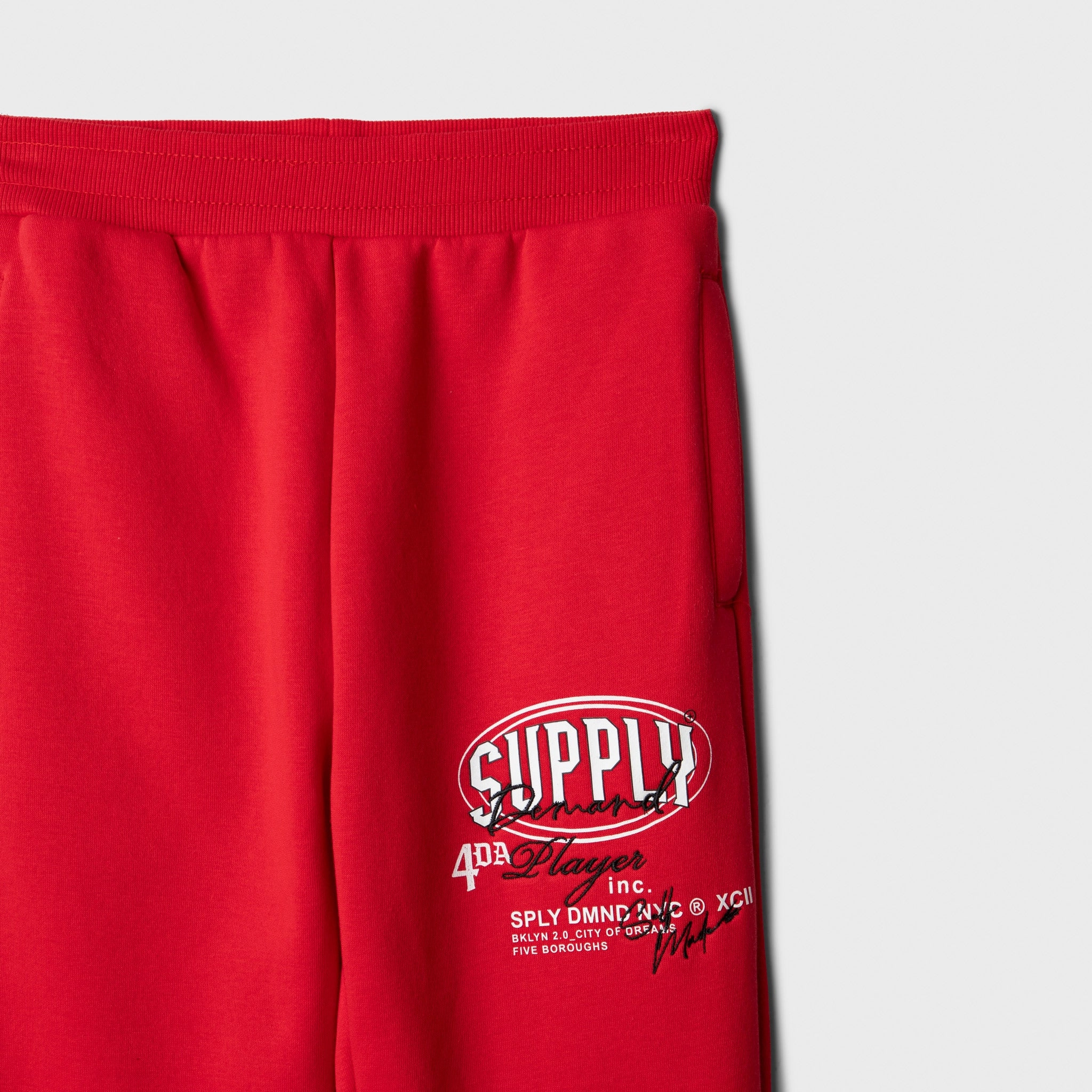 Supply & Demand Junior Boys' Targon Joggers / Chinese Red