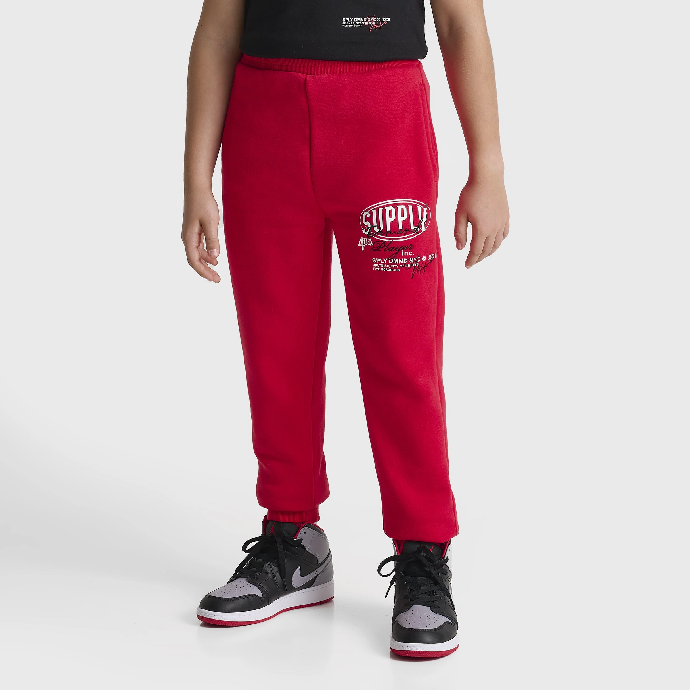 Supply & Demand Junior Boys' Targon Joggers / Chinese Red