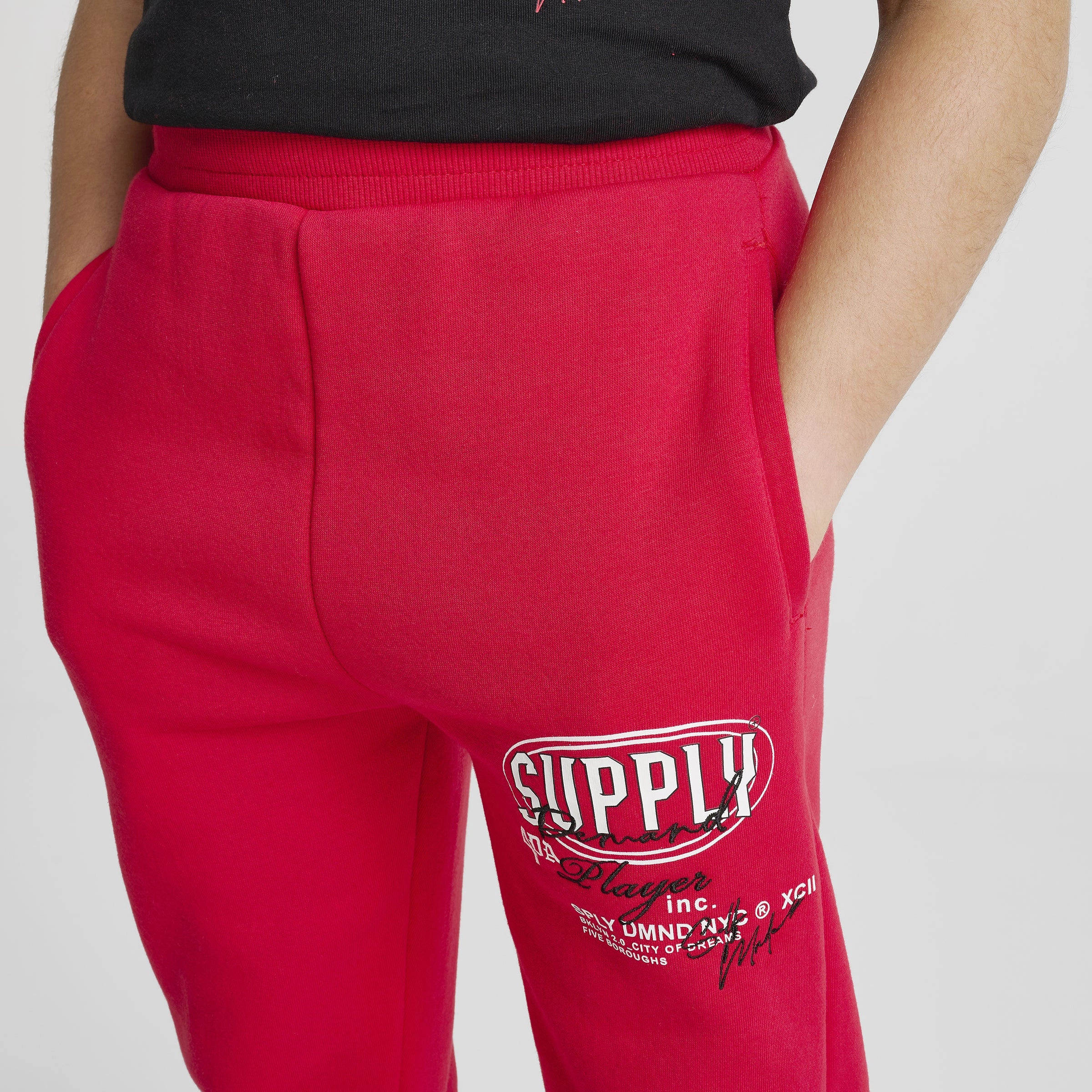 Supply & Demand Junior Boys' Targon Joggers / Chinese Red