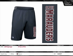 Under Armour Shorts - Anthracite